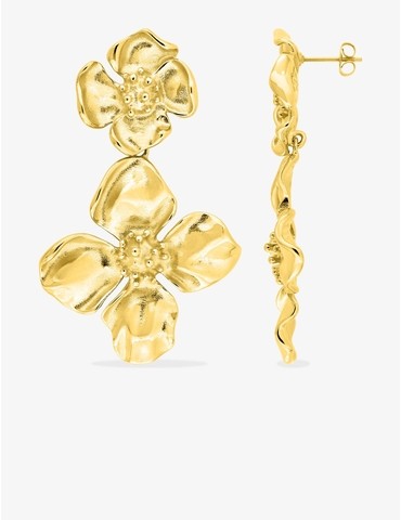 Boucles d'oreilles...