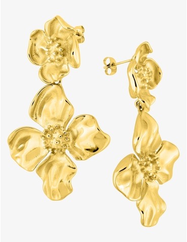 Boucles d'oreilles...