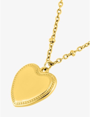 Collier acier doré...