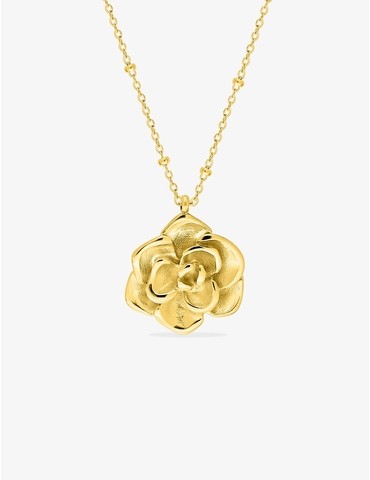 Collier acier doré avec...