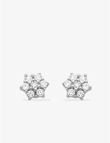 Boucles d'oreilles fleurs...