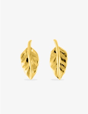Boucles d'oreilles clous...