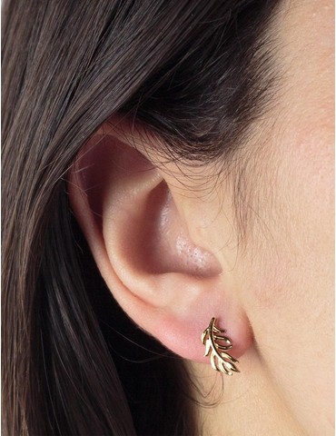 Boucles d'oreilles clous...