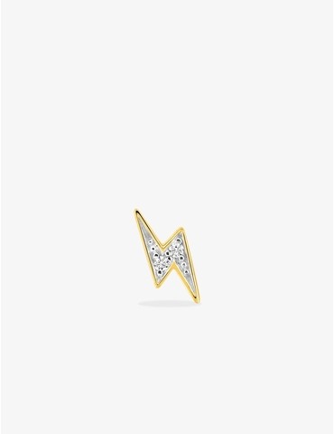 Boucle d'oreille clou...
