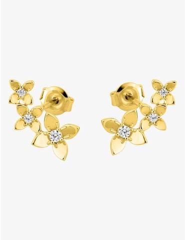 Boucles d'oreilles clou...