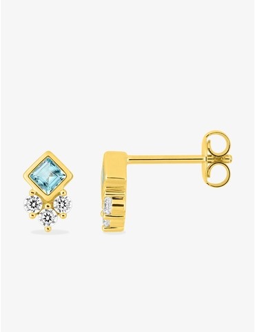 Boucles d'oreilles clous...