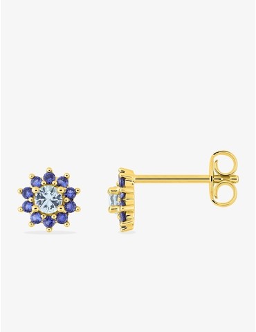 Boucles d'oreilles clous...