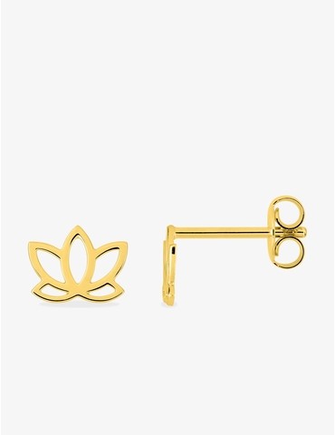 Boucles d'oreilles clous...