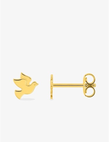Boucles d'oreilles clous...