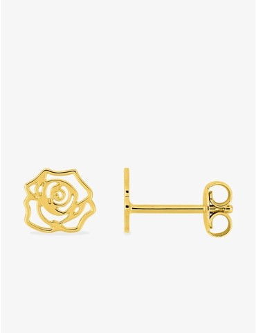 Boucles d'oreilles clous...