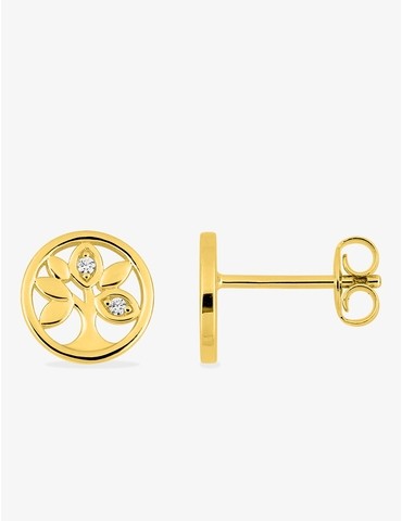 Boucles d'oreilles clous...