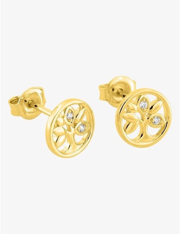 Boucles d'oreilles clous...