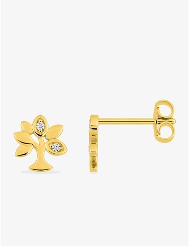 Boucles d'oreilles clous...