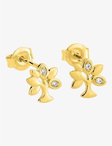 Boucles d'oreilles clous...