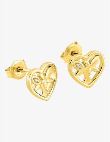 Boucles d'oreilles clous...
