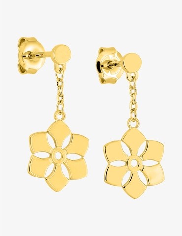 Boucles d'oreilles...