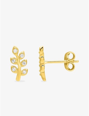 Boucles d'oreilles clous...