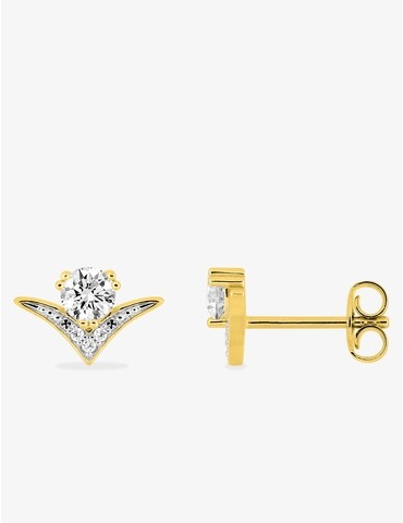 Boucles d'oreilles clous...