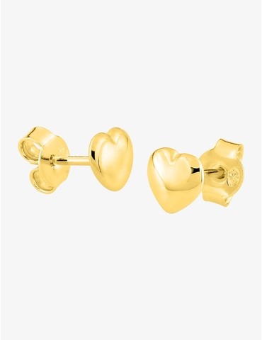 Boucles d'oreilles clous...