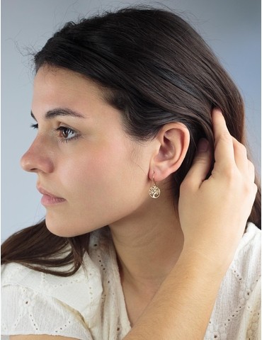 Boucles d'oreilles crochet...