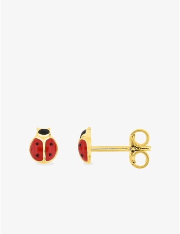 Boucles d'oreilles clous...
