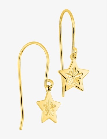 Boucles d'oreilles crochet...
