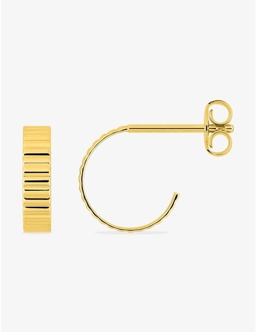 Boucles d'oreilles...