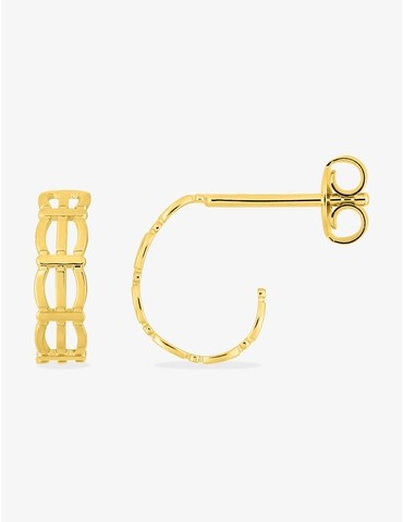 Boucles d'oreilles...