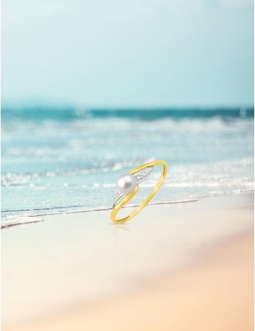 Bague bicolore en or 375‰...