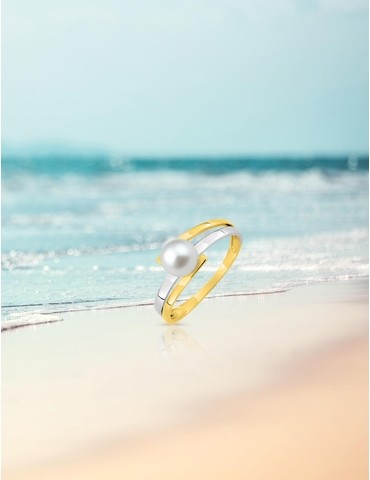 Bague bicolore en or 375‰...