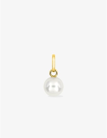 Pendentif or jaune 375‰ et...