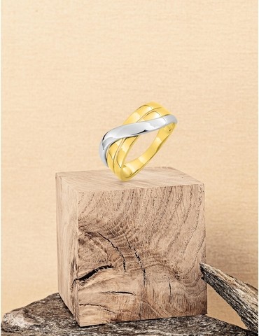 Bague bicolore or jaune 375 ‰