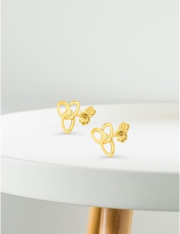 Boucles d'oreilles clous...