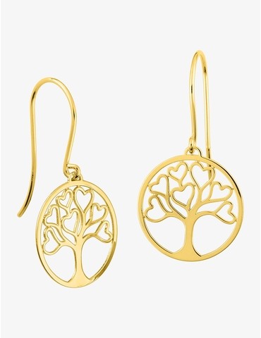 Boucles d'oreilles crochets...