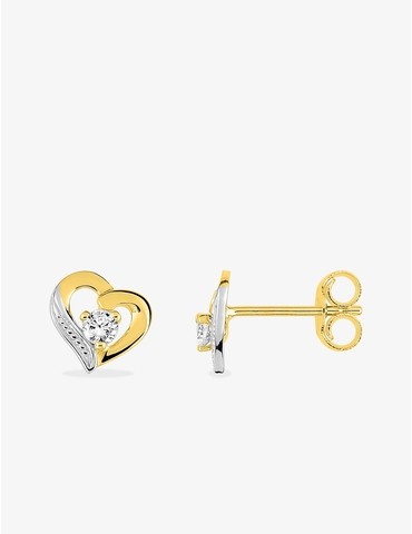 Boucles d'oreilles clous...