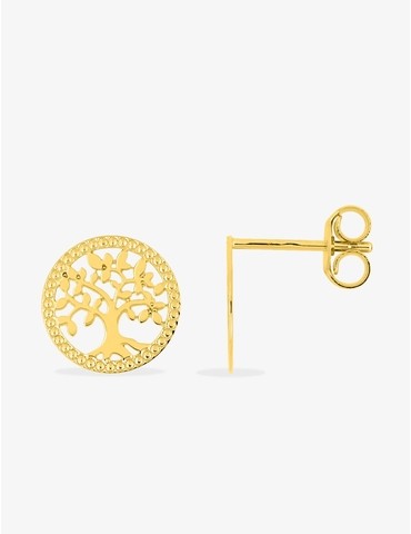 Boucles d'oreilles clous en...