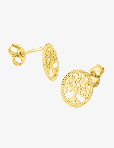 Boucles d'oreilles clous en...