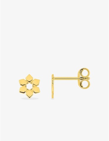 Boucles d'oreilles clou or...