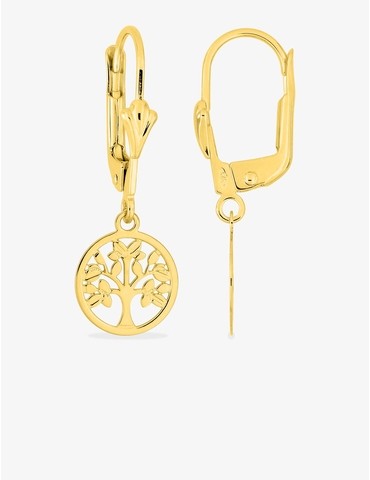 Boucles d'oreilles...