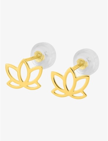 Boucles d'oreilles clou or...