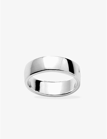 Alliance fonte ruban argent...