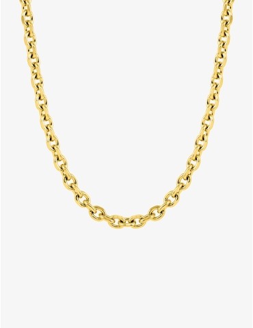 Collier chaine acier doré...