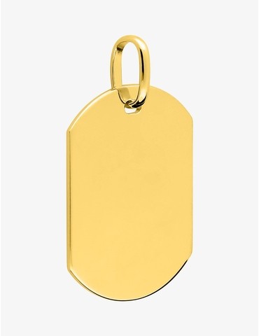 Pendentif plaqué or plaque GI
