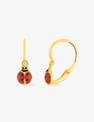 Boucles d'oreilles brisures...
