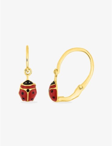 Boucles d'oreilles brisures...
