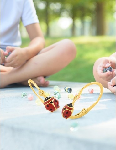 Boucles d'oreilles brisures...