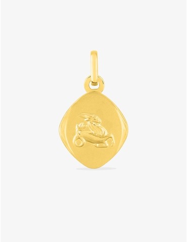 Pendentif zodiaque...