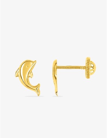 Boucles d'oreilles clous...