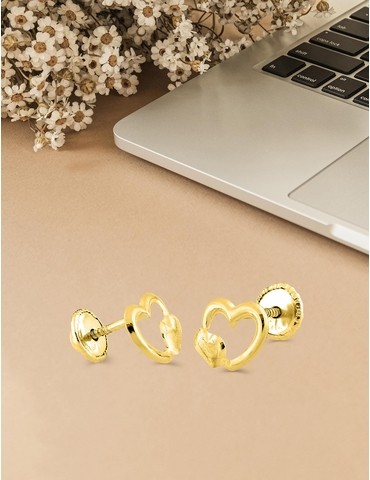 Boucles d'oreilles clous...