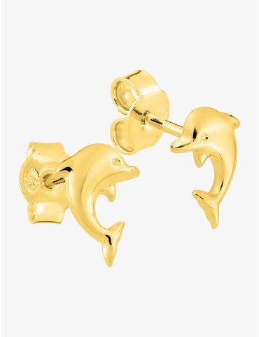 Boucles d'oreilles clous...